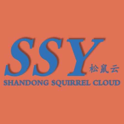 山東松鼠云網絡科技有限公司
